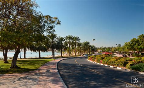 AL MAMZAR BEACH Park Dubai - Ladies Day - Prices