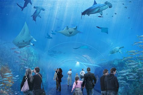 Nausicaa Le Plus Grand Aquarium D Europe