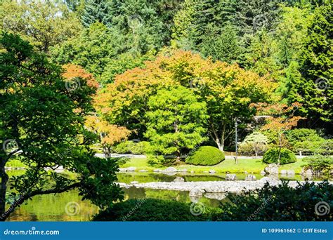 Japanese Garden in Seattle`s Washington Park Arboretum Stock Photo ...