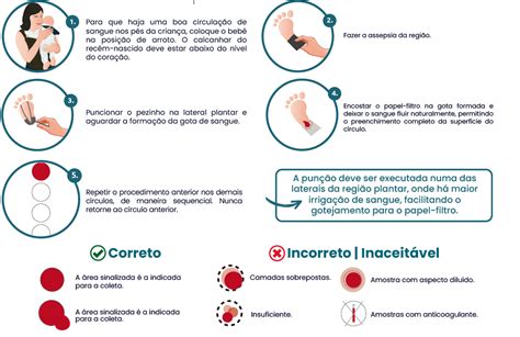 TESTE DO PEZINHO CARTAZ Materiais Técnicos Diagnósticos do Brasil