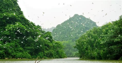 Thung Nham Bird Park In Ninh Binh A Detailed Travel Guide To Thung