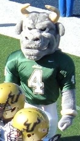 18 best images about USF - University of South Florida Bulls on ...