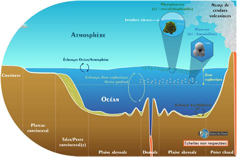 Equilibre du CO2 entre l atmosphère et l océan Terres du Passé L