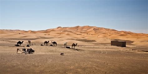 Stunning Photographs Of Barren Deserts Stockvault Net Blog