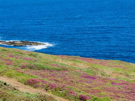 images landscape sea coast ocean horizon field shore