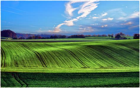 Wellige Landschaft Selma Barbara Flickr