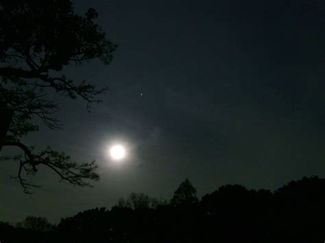 spring night michibanban flickr