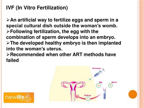 Understand The Difference Between Ivf And Icsi