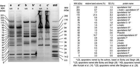 Sds Page Profile Of Egg Yolk Proteins Under Non Reducing Nr And