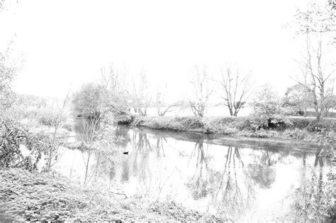 Photo matin blanc...