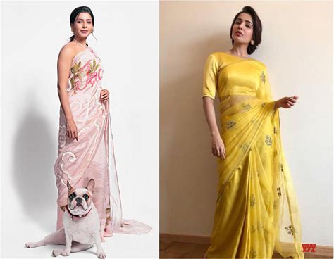 10 Divas Who Slayed In Their Organza Sarees Celebrity Sarees