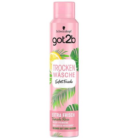 got2b Haarspray, Haarlack