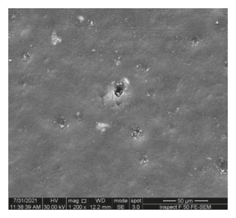 Sem Micrographs Of A Bare Bioepoxy B Bioepoxy Wt Al O Agnps