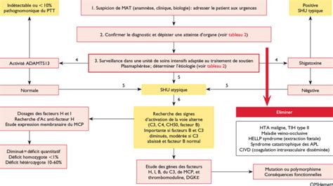 Microangiopathie Thrombotique Quand Le Temps Presse Revue M Dicale