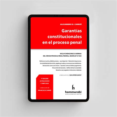 Carri Garant As Constitucionales En El Proceso Penal