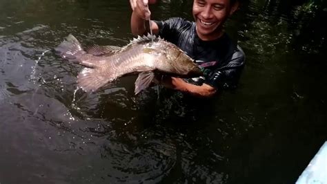 Permiso De Pesca Deportiva En Tapachula Permisodepesca