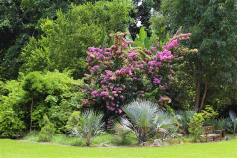 A Miamian’s Review of Fairchild Tropical Botanic Garden - PoofBeeGone