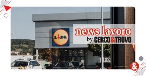 Lidl Lavora Con Noi Le Posizioni Aperte Cerco Trovo News