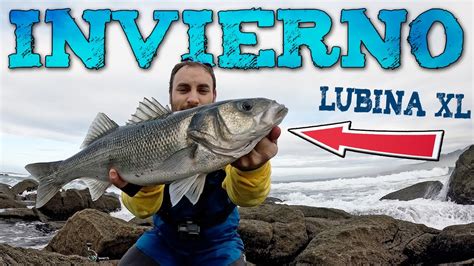 Lubinas A Spinning En Galicia En El Inviernoesto Es Un Para So Para La