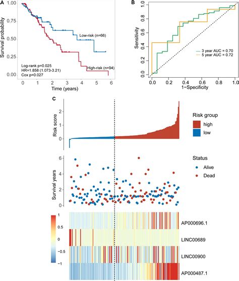 Frontiers Identification Of A Tlr Induced Four Lncrna Signature As A