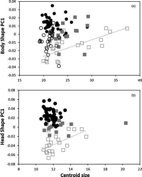 Allometric Trajectories In Body And Head Shape Of Lean And Huronicus