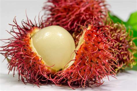 16 Science Backed Health Benefits Of Rambutan How To Ripe