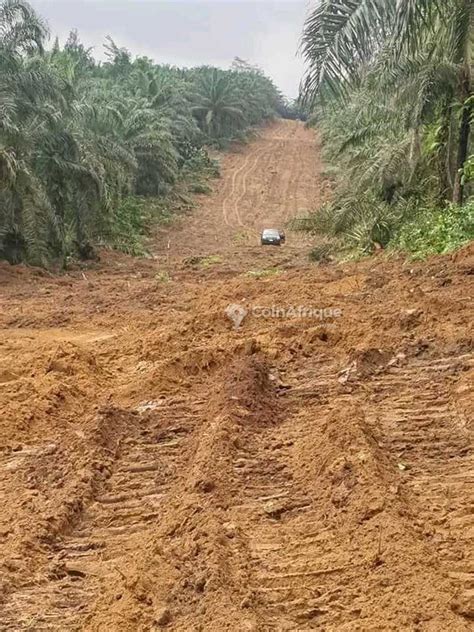 Terrains Terrain titré Ngombe au Cameroun CoinAfrique Cameroun