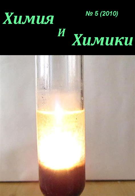 Химия и Химики № 5 2010