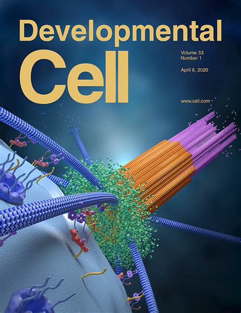 Cell Journal Cover