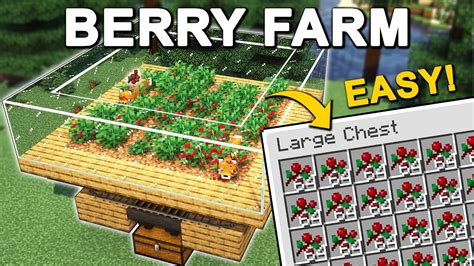 The Best Sweet Berry Farm In Minecraft 121 Tutorial Youtube