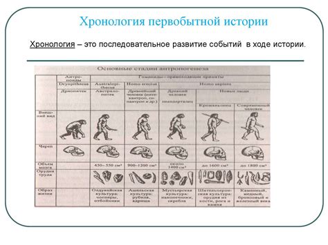 История первобытного общества - презентация онлайн