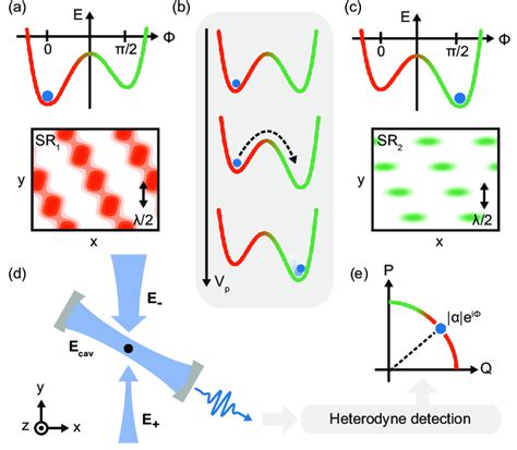 Conceptual Model And Schematics Of The Experiment A C The Free