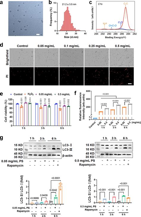 Characterisations Of Polystyrene Nanoplastic And Their Cytotoxicity A