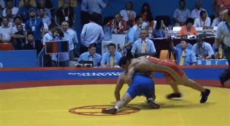 Wrestling GIF - Find & Share on GIPHY