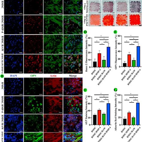 Compositions Of Cell Loaded Bioinks For 3d Bioprinting Download