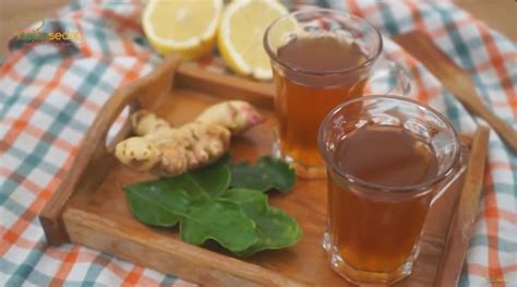 Resep Minuman Detox Dr Zaidul Akbar Ramuan Herbal Untuk Meningkatkan Vitalitas Tubuh