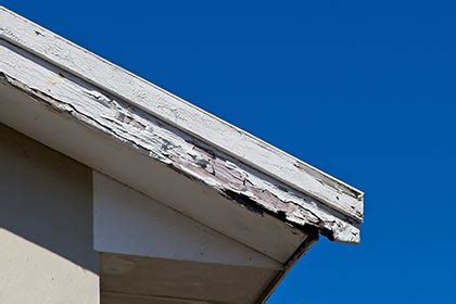 Roofing Repairs | Roof Leaks, Flat Roof Leaks | Roof Dry Rot Repairs