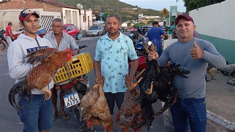 Vanio Registrando Mais Uma Feira De Galinhas Em Igaci