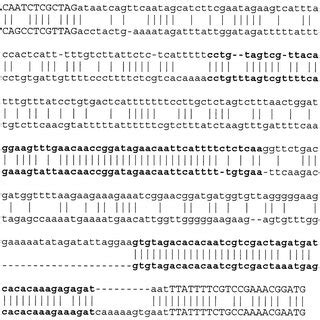 Sample Alignment Of One Intergenic Region Of C Elegans And C Briggsae