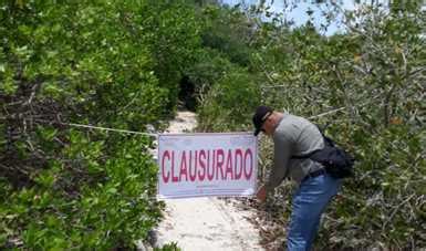 Repone Profepa Sellos De Clausura En Paso Al Estero La Lancha En Bahia