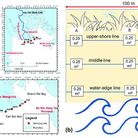 Sampling Areas A Five Sampling Areas Of Beach Sand On Can Gio Coast Download Scientific