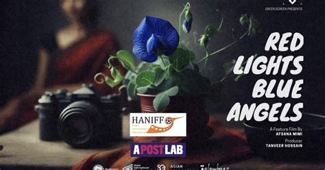 afsana mimis film wins  prize  hanoi