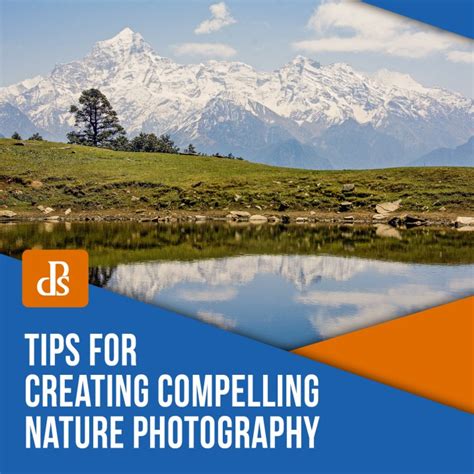 Tips for Creating Compelling Nature Photography