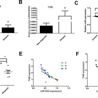 MiR 603 And TrkB MRNA Expression Levels In APL As Evaluated By PCR A