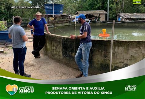 Semapa Orienta E Auxilia Produtores De Vit Ria Do Xingu Prefeitura