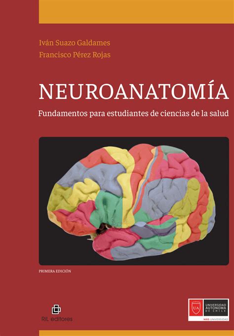 PDF Neuroanatomía Fundamentos para estudiantes de ciencias de la salud