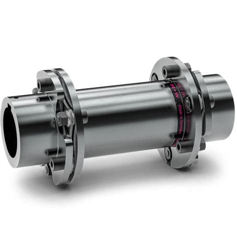 Acoplamiento De Discos Lp Series R W Coupling Technology Con Brida