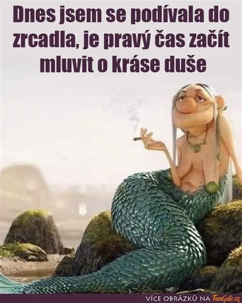 Dnes Jsem Se Pod Vala Do Zrcadla Fungate Cz Funny Phrases Cool