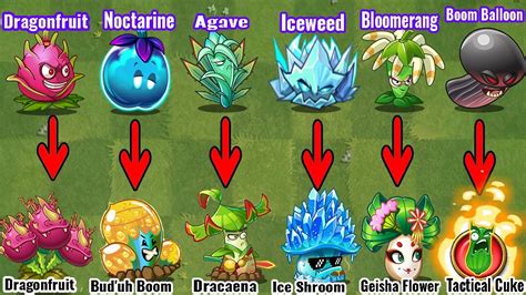 Pvz 2 Discovery Every Plants Evolution Noob Pro Version V1101 Youtube