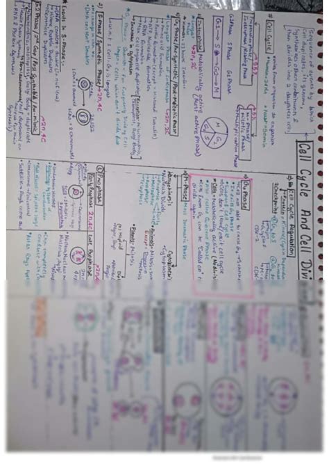 Solution Mindmap Cell Cycle And Cell Division Studypool